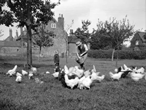 Man feeding poultry, watched by a boy
