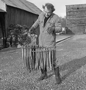 Gravel Prints: Man with fish for smoking