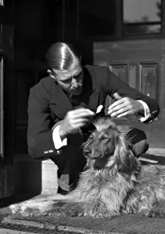 Grooming Prints: Man grooming a dog