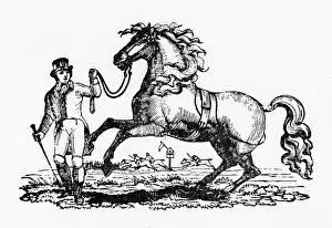 A man and his horse
