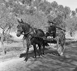 Man with horse and cart on a country road
