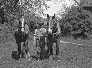 Carthorse Prints: Man with two horses in a field