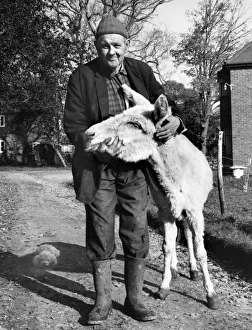 Images Dated 12th January 2017: Man and mule