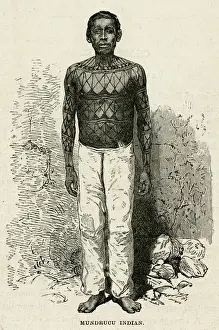 Tribes Prints: Man from the Mundrucu tribe with body tattooing