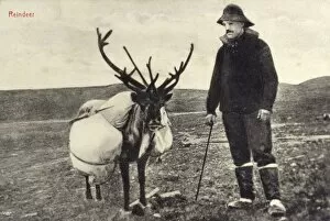 Images Dated 5th May 2011: Man from Newfoundland and Labrador with reindeer