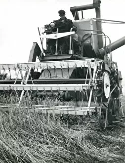 Labourer Collection: Man operating a combine harvester, Cornwall