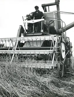 Labourer Prints: Man operating a combine harvester, Cornwall