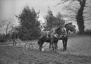 Man ploughing with two horses