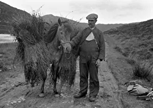 Bales Prints: Man with pony on country lane, Scotland