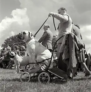 Carta Prints: Man proudly showing his dog at show