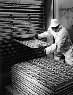 Trays Prints: Man removing peas from froster in Birds Eye factory