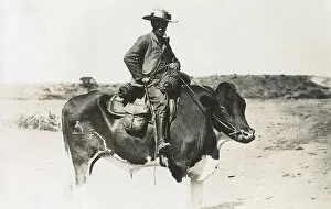 Brand Gallery: Man riding a cow, Windhoek, south west Africa