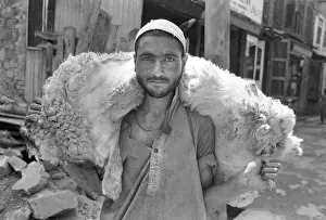 Jammu Prints: Man with sheep carcass, Kashmir