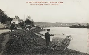 Barrage Prints: Man & Sheep stare across the Seine