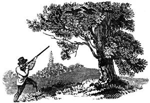 Shoot Prints: Man shooting at two birds in a tree, c. 1800