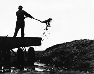 Manure Prints: Man shovelling manure from the back of a lorry