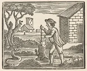 Man and Snake