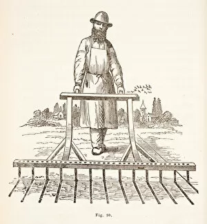 Sowing Gallery: Man sowing seeds in lines, using mechanical device