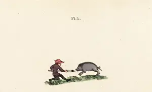 Boar Prints: Man spearing a boar, 14th century