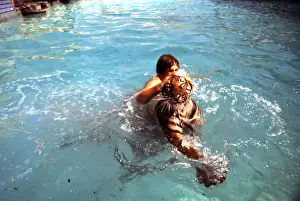 Tigers Prints: Man swimming with tiger