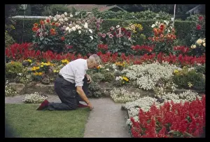 Crouches Prints: Man Tending Garden