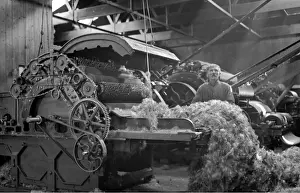 Rollers Prints: Man in textile industry operating machine, Scotland