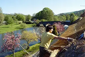 Thatching Prints: Man thatching a roof, Bickleigh, Devon