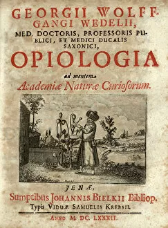 Ponds Collection: Man in Turkish dress and wearing a turban harvesting opium