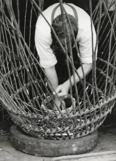 A man using withies (willow branches) to make a lobster or crab pot at Beesands, Start Bay, Devon. Date: 1960