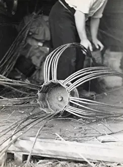 Lobster Prints: A man using withies (willow branches) to make a lobster or crab pot at Beesands