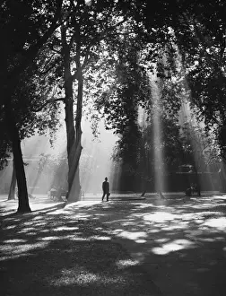 Man Walks in Sunshine