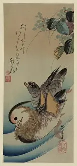 Mandarin Prints: Mandarin ducks