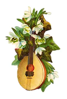 Snowdrop Prints: Mandolin with white flowers on a Victorian scrap