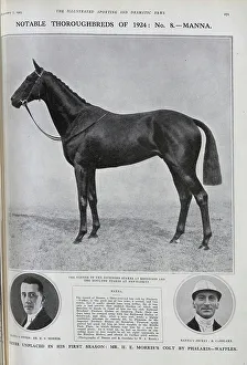 Manna, a Racehorse