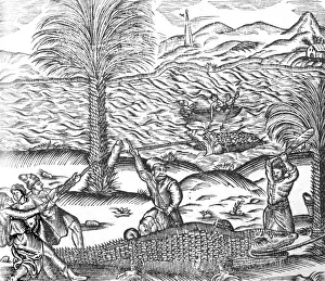 Manner Prints: Manner of Catching Crocs