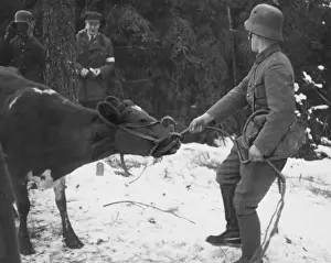 Mannerheim line WWII