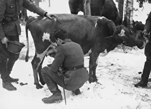 Mannerheim line WWII