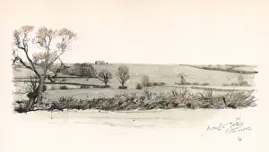 Hedge Prints: Manton Gorse, Cottesmore Hunt area, near Oakham