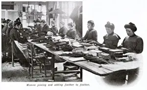 Producing Prints: Manufacture of Ostrich Feathers - Joining feathers 1907