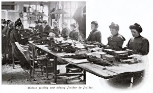 Ostrich Collection: Manufacture of Ostrich Feathers - Joining feathers 1907