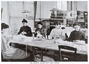 Ostrich Collection: Manufacture of Ostrich Feathers - Women Curlers 1907