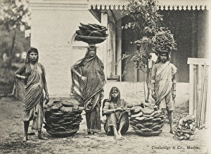 Manure Dryers/Collectors - Madras, India Manure Dryers/Collectors - Madras, India
