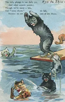 Plunge Prints: Manx Cats go for a swim