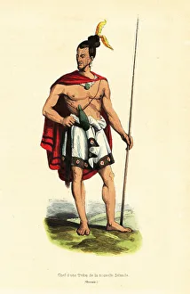 Auguste Wahlen Prints: Maori chief of Houa-Houa (Uawa), Tolaga Bay, North Island, New Z