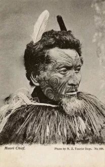 Population Collection: Maori Chieftain, New Zealand