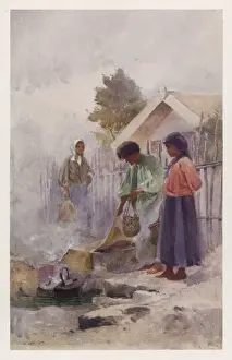 Maori Cook W / Hot Spring