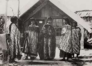 Maori Ladies of the Wonderland - Maori women