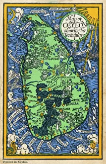 Empire Gallery: Map of Ceylon showing tea industry plantations