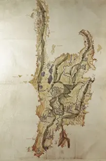 Map of the island of Santo Domingo (16th c. )