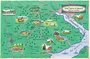 Peck Prints: Map - The New Forest